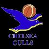 https://img.longzhuzhibou.com.cn/img/basketball/team/0d36b73786230e17d7d718ab10adab87.png