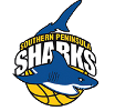 https://img.longzhuzhibou.com.cn/img/basketball/team/4e86af87d5374d18915264b3323b4530.png
