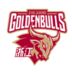 https://img.longzhuzhibou.com.cn/img/basketball/team/d1d77f07287fe840a7e77459e5bd1bfc.png