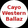 https://img.longzhuzhibou.com.cn/img/basketball/team/f9030708ce294e999d51fe25f2faf591.png