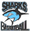 https://img.longzhuzhibou.com.cn/img/basketball/team/fc6632a794e74357912e097eadf99a17.png