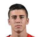 https://img.longzhuzhibou.com.cn/img/football/player/58ea8201b780d463ed9d9c54005a6969.png