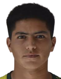 https://img.longzhuzhibou.com.cn/img/football/player/593ada0d7956416c62dcbb7289ee303b.png