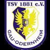 https://img.longzhuzhibou.com.cn/img/football/team/0425718c842cc1330a6507bdde3c1da4.png
