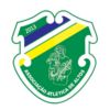 https://img.longzhuzhibou.com.cn/img/football/team/079dd394cc2355231bb0aee65bd140a2.png