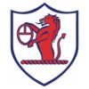 https://img.longzhuzhibou.com.cn/img/football/team/11fb72f7b5eacfc881ee11bac75871fa.png