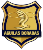 https://img.longzhuzhibou.com.cn/img/football/team/2fc9caac0344e02b7d678ab9effdcc7d.png