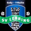 https://img.longzhuzhibou.com.cn/img/football/team/461d9cd3e3800f50409cf618de76159c.png