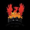 https://img.longzhuzhibou.com.cn/img/football/team/6df09bff98f2d268a6e16f39ef61804d.png