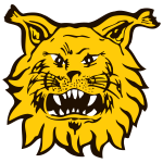 https://img.longzhuzhibou.com.cn/img/football/team/9f170a9ffc15b4141b790f4ff042cc51.png