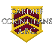 https://img.longzhuzhibou.com.cn/img/football/team/afe292611312572794465f5af748954a.png