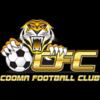 https://img.longzhuzhibou.com.cn/img/football/team/cc4189282b08b40c695ca3fea36178c2.png