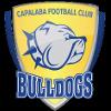 https://img.longzhuzhibou.com.cn/img/football/team/da8bfcabb427caa8c01fbb244a1f77aa.png